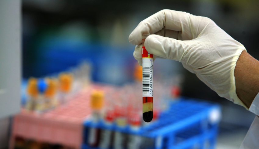 wp header logo1775376007766129473