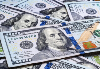 wp header logo17753868112058795719