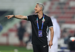 wp header logo17753976112036325810