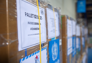 wp header logo1775408410830421818