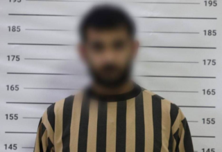 wp header logo17754156081190656618