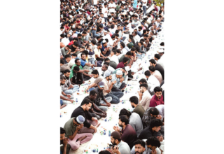 wp header logo17754372071943234557