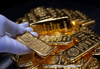 wp header logo17754588161330799764