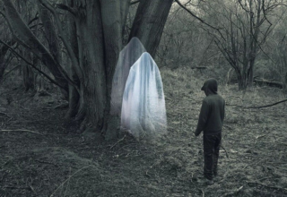 wp header logo1775458816624947642