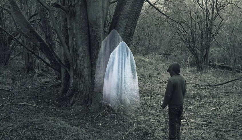 wp header logo1775458816624947642