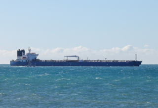 wp header logo17754624761691500855