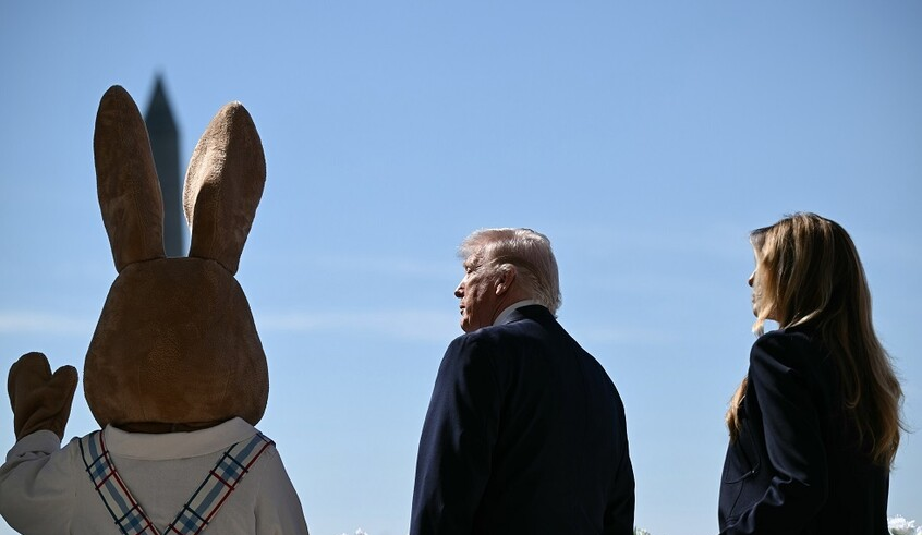 wp header logo17754948911834193834