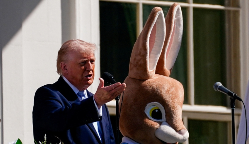 wp header logo17754984461036785926