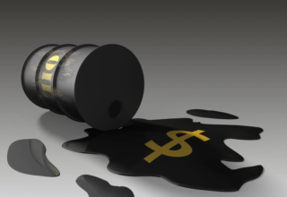 wp header logo17755488181872184259