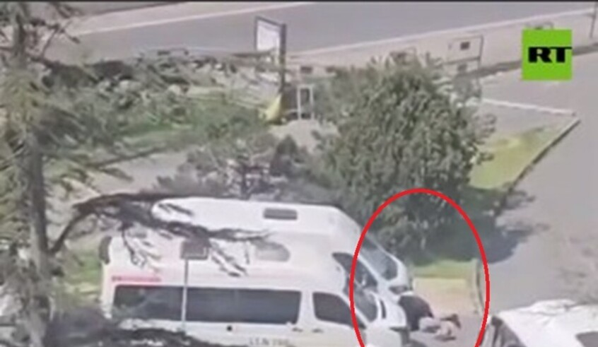 wp header logo1775559626402878151