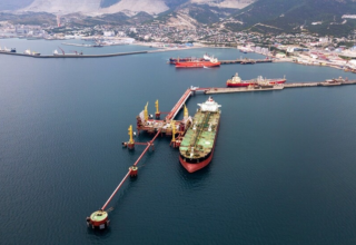 wp header logo17755740161647495522