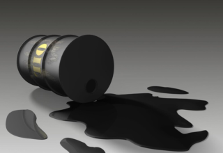 wp header logo1775631617316917014