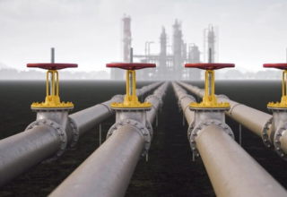 wp header logo1775638819848607786