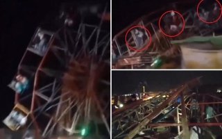 wp header logo17756604091655401281