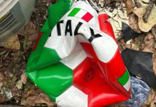 wp header logo17757216161007366414