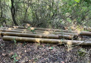 wp header logo177572880943790930