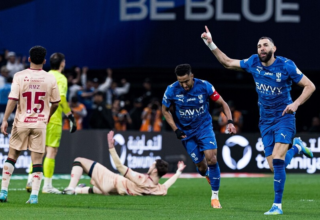 wp header logo17757396091130951381