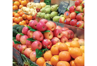 wp header logo1775772031329412786