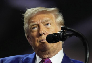 wp header logo17757756521083710496