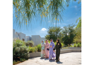 wp header logo17757828161589957535