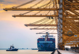 wp header logo17757828411263531172