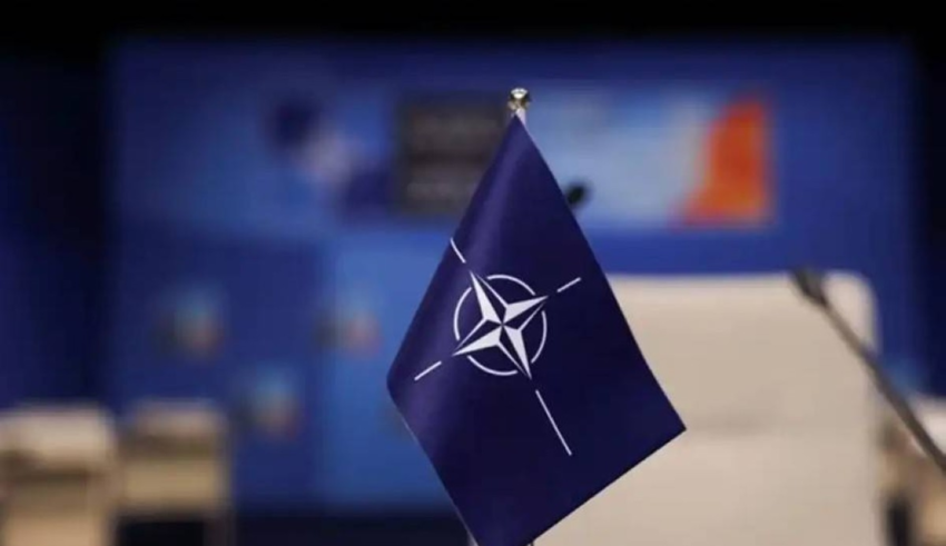 wp header logo1775786414883406690