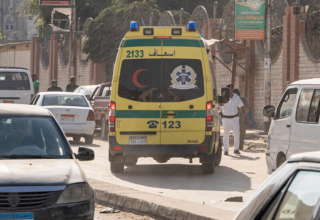 wp header logo177584402496853869