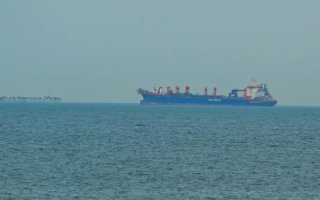 wp header logo17759016091050077737