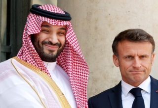 wp header logo17759232841001393850