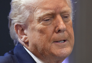 wp header logo17759268311744391764