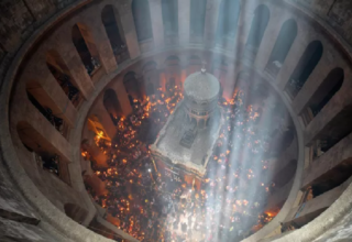 wp header logo17759340501004153910