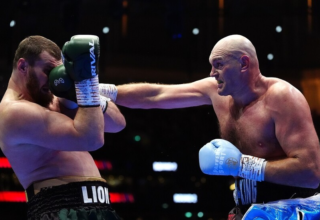 wp header logo17759520221771806309