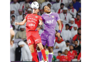 wp header logo1775955620210588145