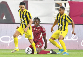 wp header logo17759556701949295857