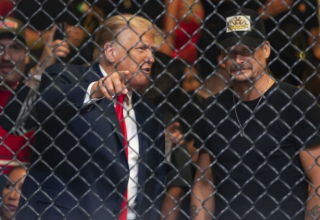 wp header logo177602041299717945