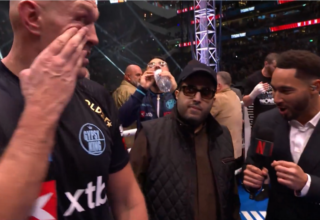 wp header logo17760276121252176993