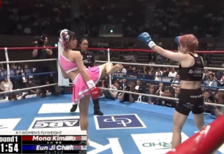 wp header logo1776031222547572424