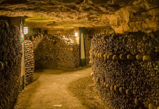 wp header logo1776042011645580444