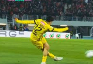 wp header logo17760564101326380643