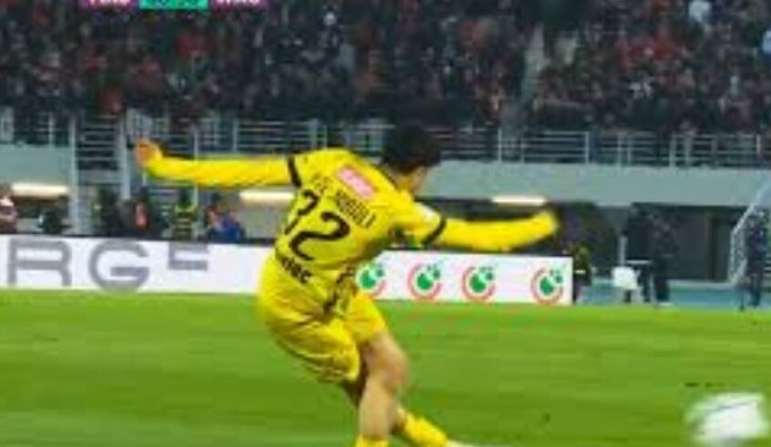 wp header logo17760564101326380643