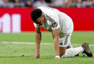 wp header logo17760636091570229049