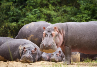 wp header logo17761284141940796335