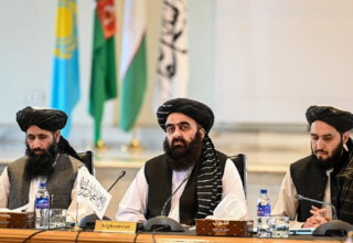 wp header logo177616082035038934