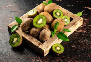 wp header logo17762328171056196558