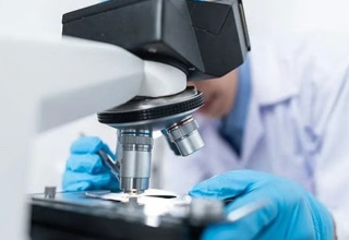 wp header logo1776268825719714793