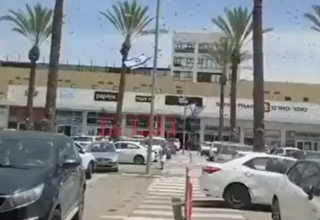 wp header logo1776268840592311133