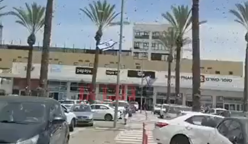 wp header logo1776268840592311133