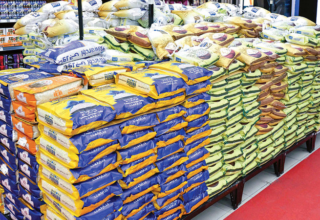 wp header logo1776301225695870123