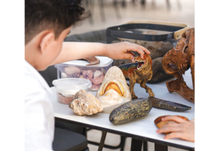 wp header logo17763012261790089278