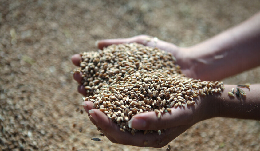 wp header logo1776301294494032830